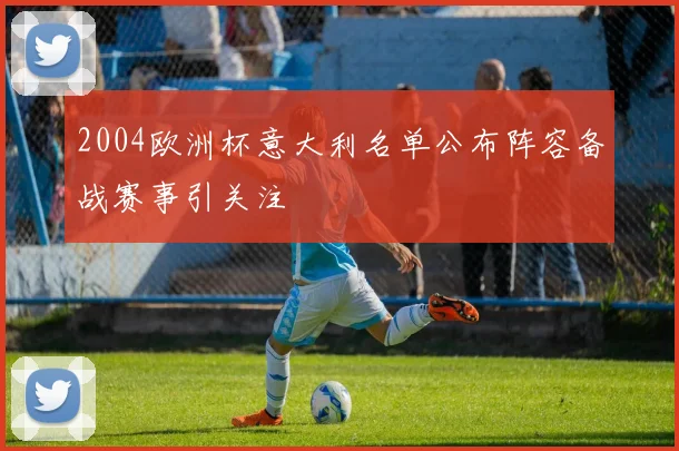 2004欧洲杯意大利名单公布阵容备战赛事引关注