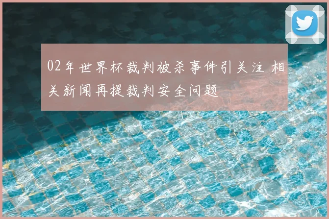 02年世界杯裁判被杀事件引关注 相关新闻再提裁判安全问题