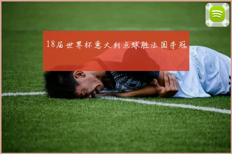 18届世界杯意大利点球胜法国夺冠