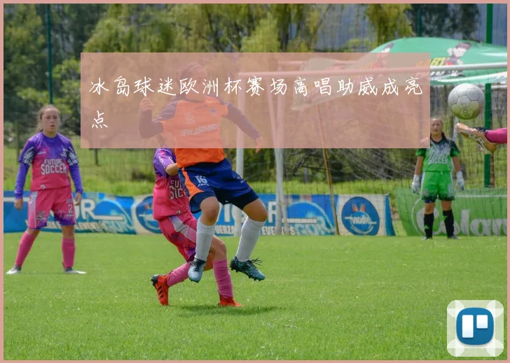 冰岛球迷欧洲杯赛场高唱助威成亮点